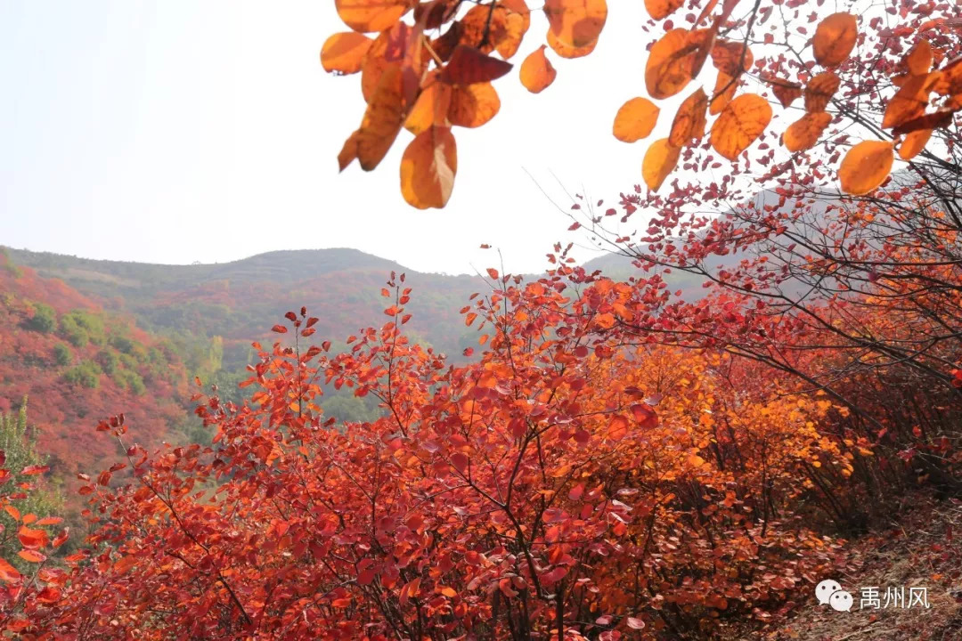 禹州磨街几个村,禹州市磨街乡磨街村