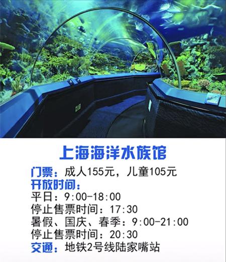 上海最值得去的十大景点推荐,上海最值得去的十大免费景点