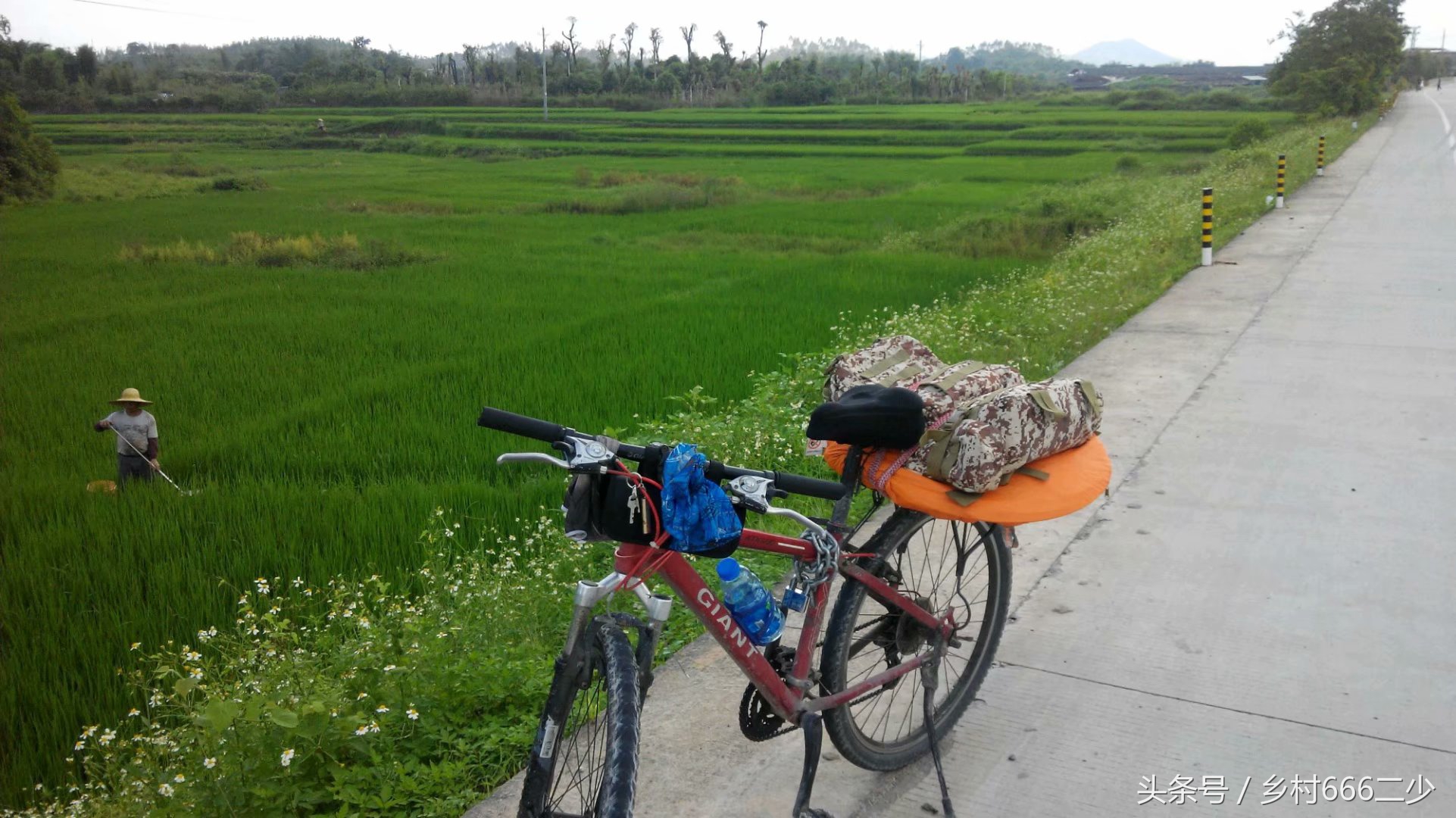 平凡之路赏析,平凡之路赏析及感悟