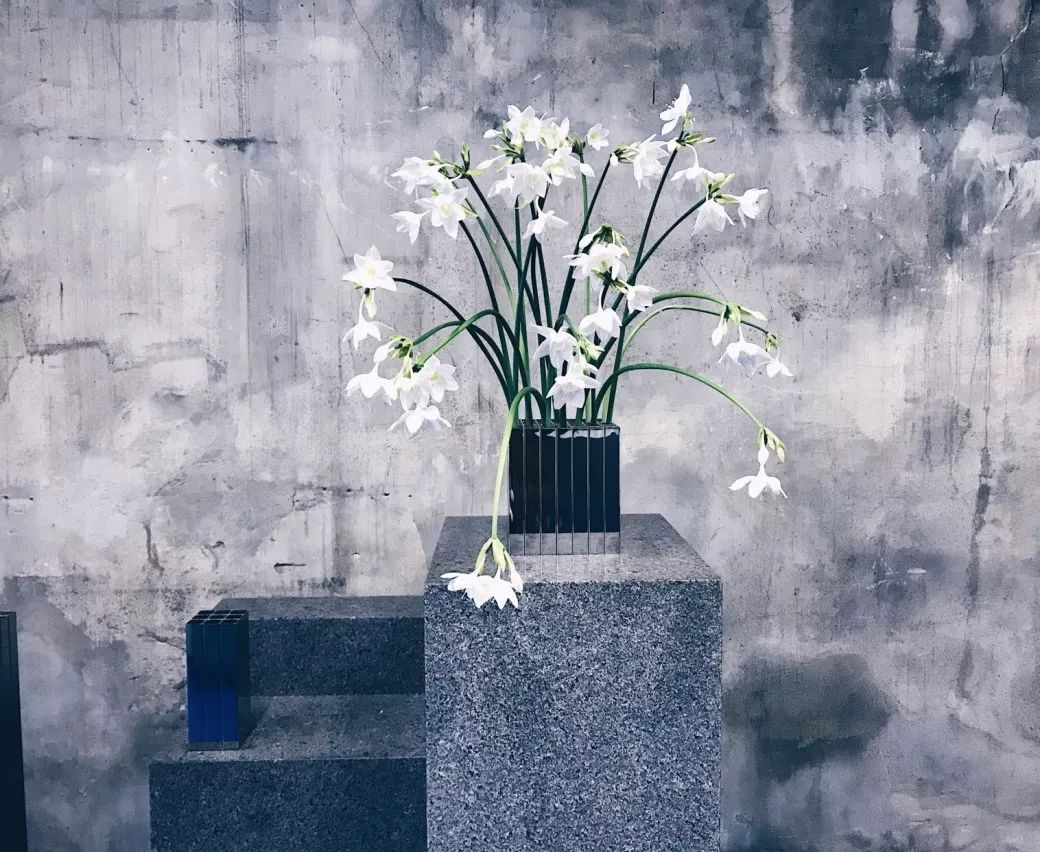 世界上最好的小花店,文艺复古小花店