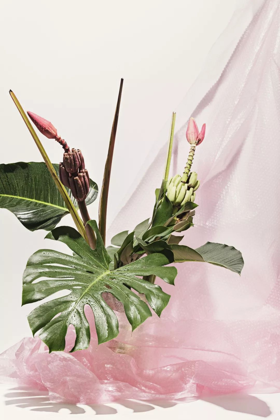 前沿丨世界上那些超美的创意小花店