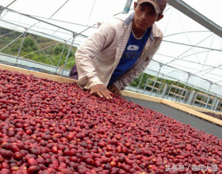 咖啡术语及每种术语的描述,咖啡介绍科普