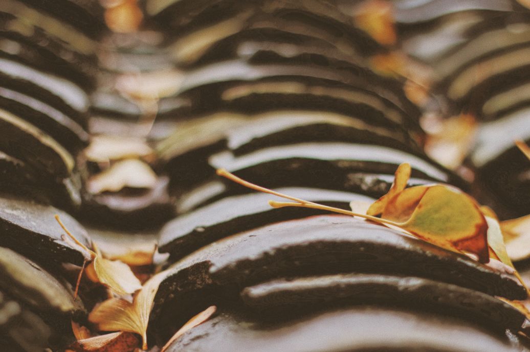 我存了256G的小黄片想和你深夜一起看