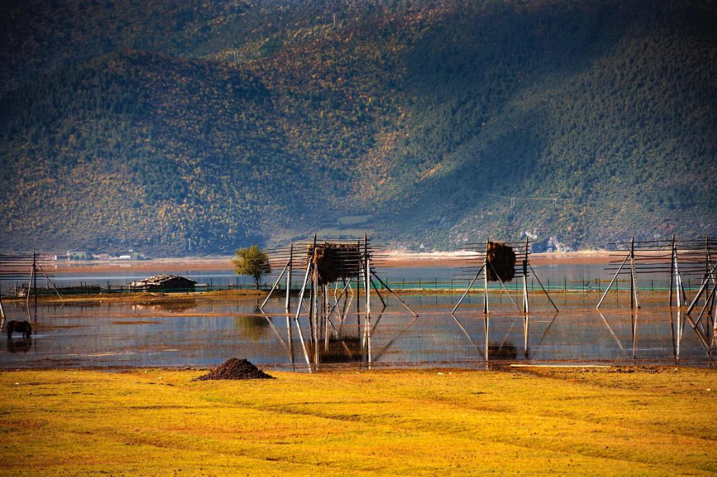 我存了256G的小黄片想和你深夜一起看