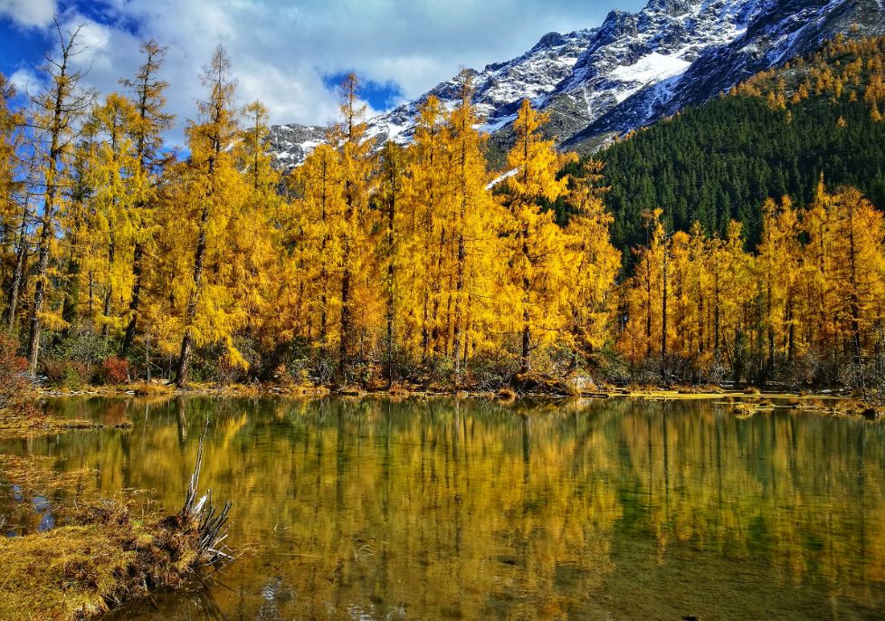 我存了256G的小黄片想和你深夜一起看