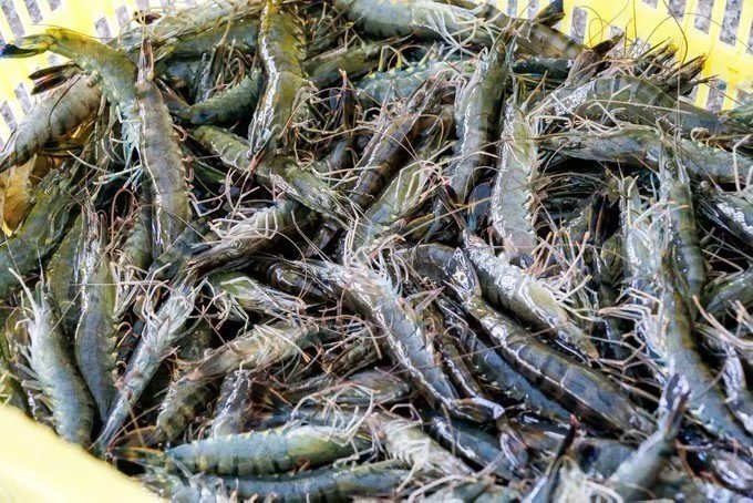 四人海口行，吃喝玩乐心情无限好