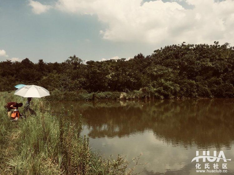 闲来游钓山水间，野塘子里上奇货！