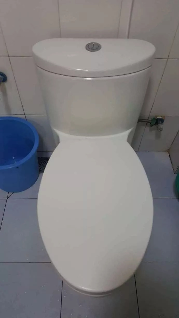 正反话都让你们说了,我家的科勒马桶连张纸巾都冲不下去