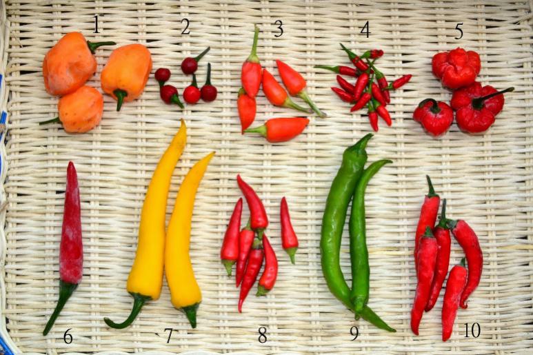 eltamd护肤品靠谱吗,被低估的国货药膏