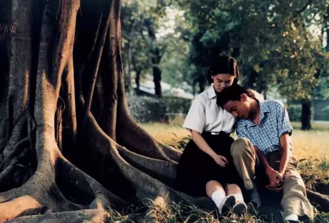 总被瞧不起的台湾动画，终于出了令人叫绝的佳作