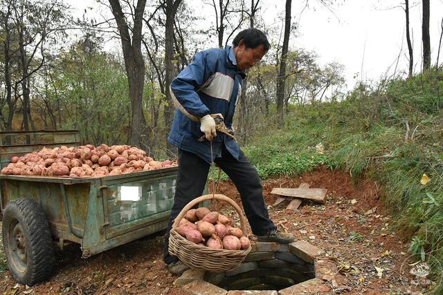 临朐话方言大全,正宗临朐方言