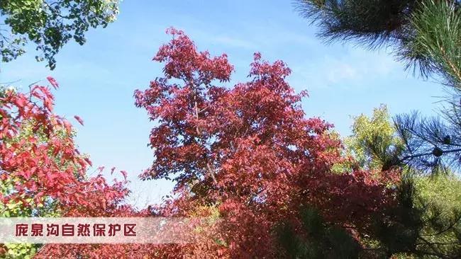 千年古县山水图,千年古县山水之城