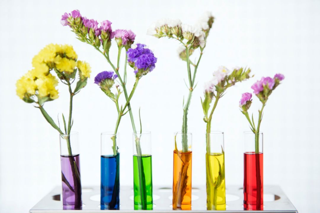 在烟火气的生活中充满仪式感,在充满仪式感的日子里不羡慕别人