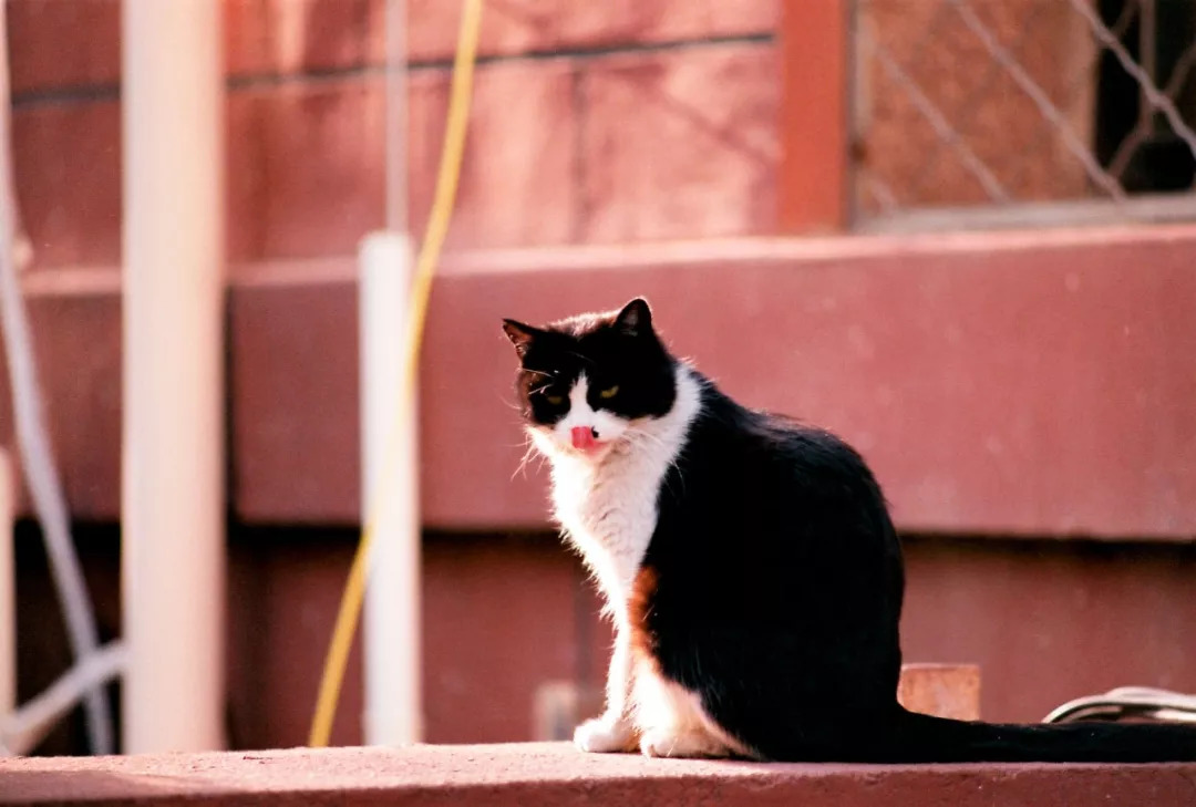 北航和农大,北航的八大学院