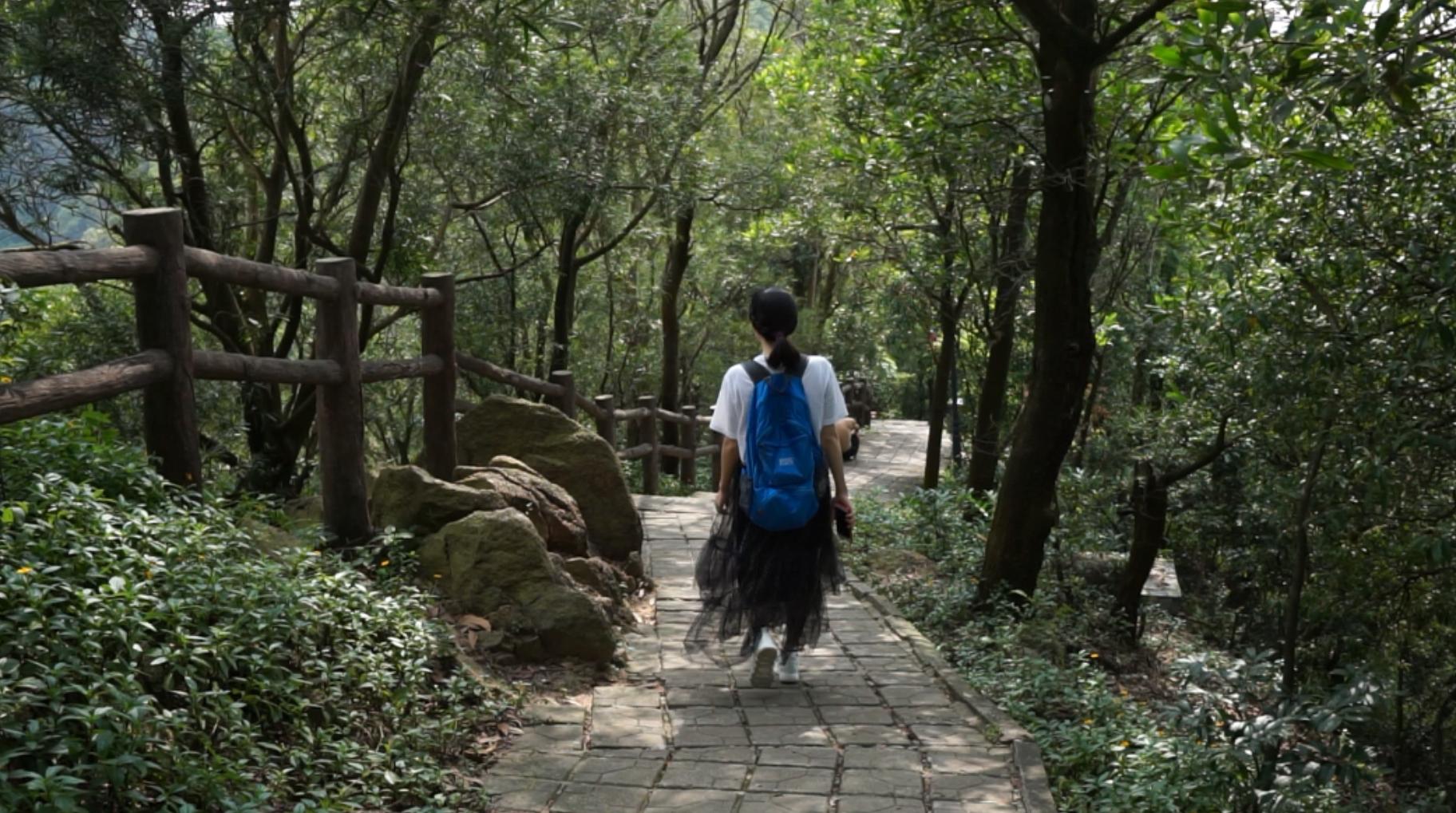 深圳南山周末玩乐推荐,深圳南山中山公园一日游攻略