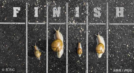 互联网创业者的成长经历,谈谈我多年的创业之路和网络生涯