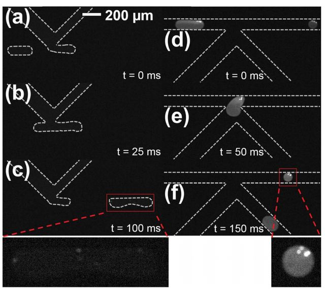 热塑性材料制作的液滴微流控器件——微流控前沿