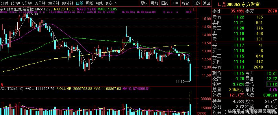 跳水低开跌停巨量卖单,竞价巨蛋砸跌停
