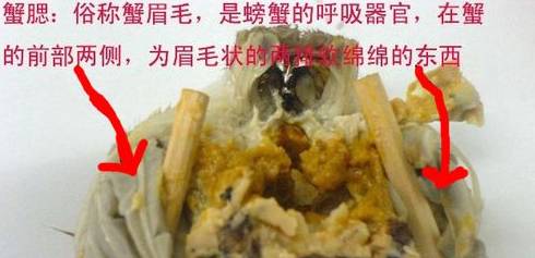 「健康」你真的会吃螃蟹？这四个部位万万不能吃！