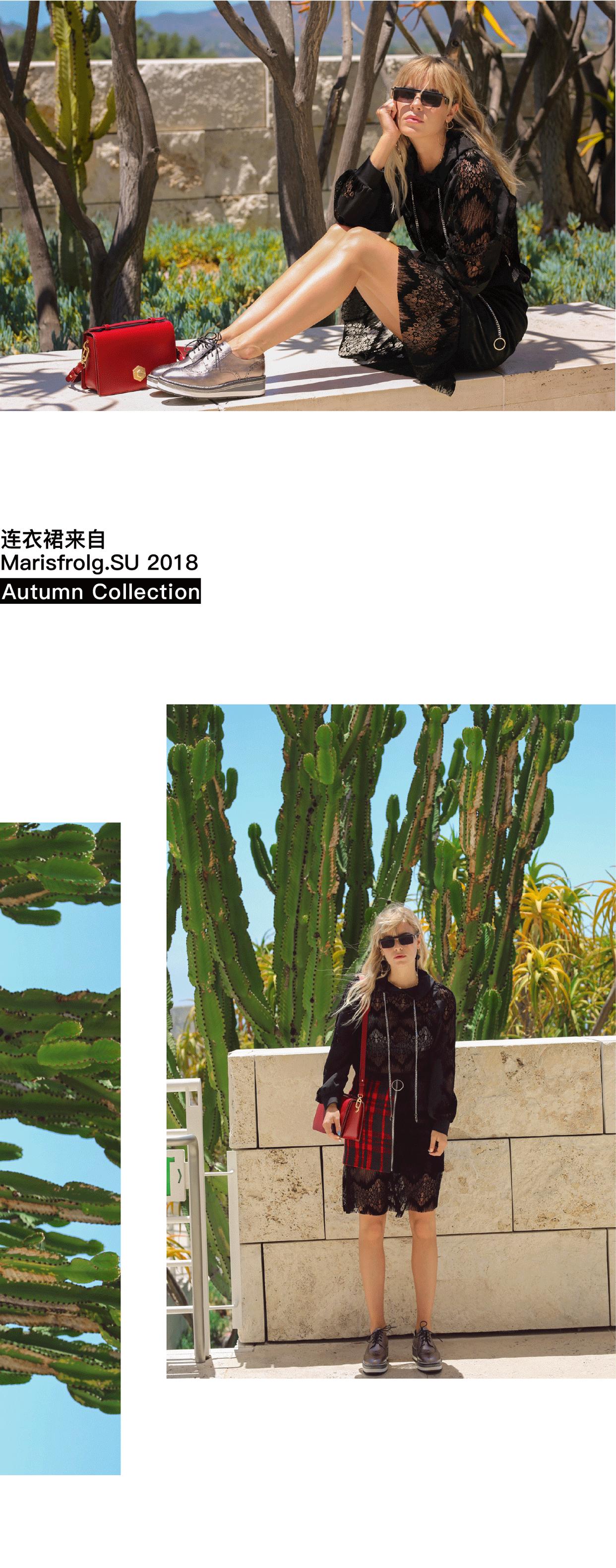 缇庡浗娲涙潐鐭惰澶村皬濮愬,缇庡浗琛楀ご娲涙潐鐭跺皬濮愬