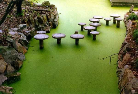 被嘲“毫无进步”的同济大学真的不如其他学校？考上才是真本事！