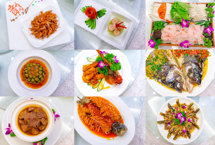 探寻自然与历史的魅力,走进大自然了解历史人文