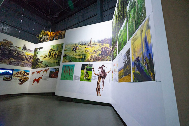 探寻自然与历史的魅力,走进大自然了解历史人文