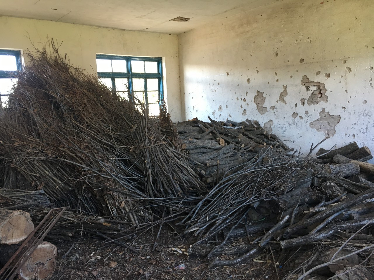 教师节感恩遇见良师,教师节特辑良师