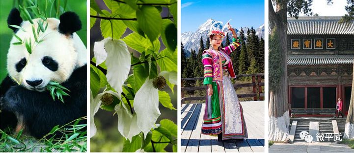 从a到z的城市,从a到z的英语表白