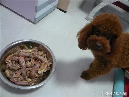 烟台第一美女是谁,山东第一美女在烟台