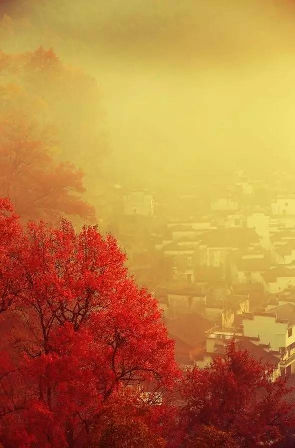 婺源的秋天真美,秋天的婺源什么时候去最美