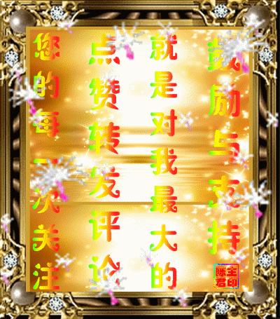 世界名犬前十名,世界名犬排名前十名图片