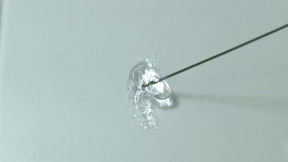 苏菲玛索不老,苏菲·玛索美颜