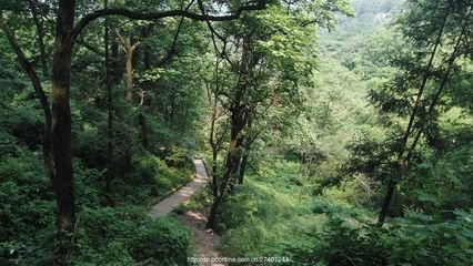 武汉春游一日游攻略,武汉最强春游攻略在此