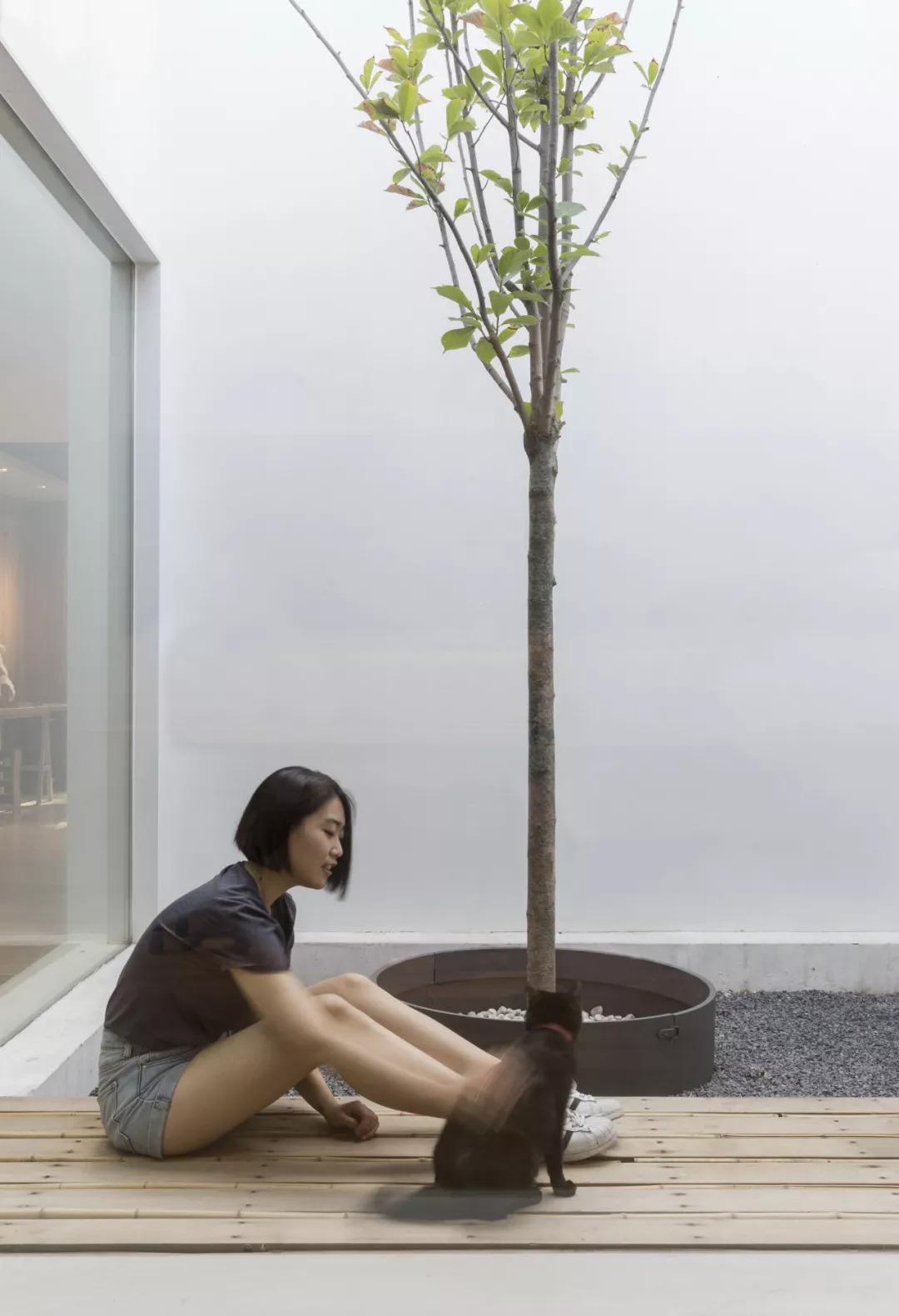 南锣鼓巷一居室带院,南锣鼓巷一室一厅带露台小院