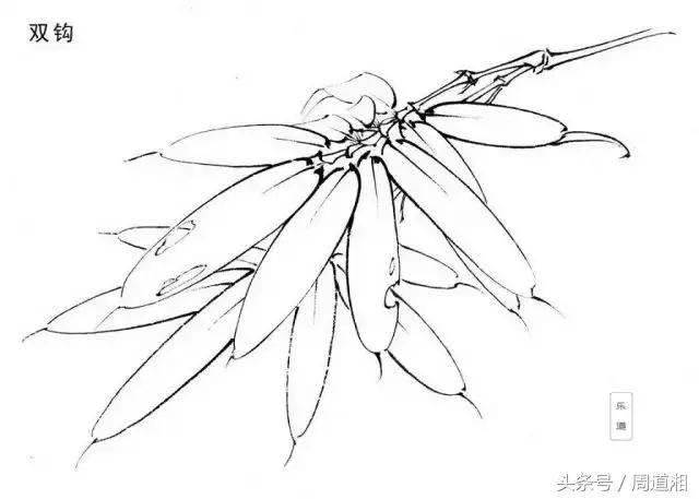 荷叶工笔画用什么方法渲染,工笔画渲染视频教程花卉