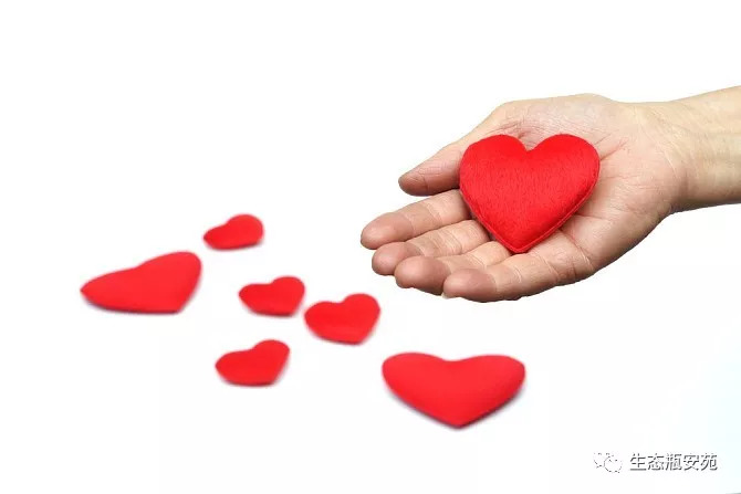 世界避孕日是几月几日,世界避孕日历年主题