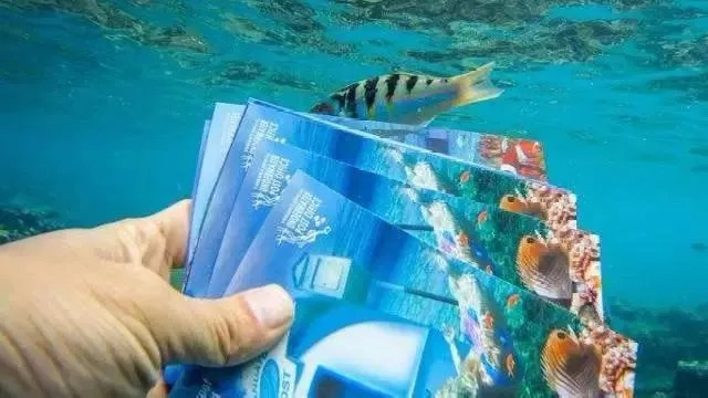 地球上最美的12个地方,公认地球最美的地方是哪里