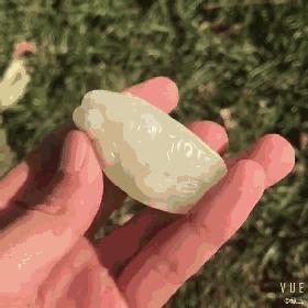 玉雕龙龟价格表,玉雕龙龟