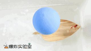 矿泉水瓶做小船能装东西,多少个矿泉水瓶子可以做一个小船