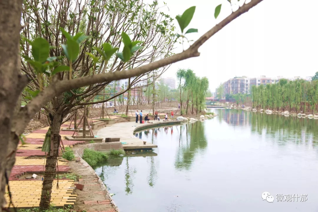 未来什邡发展,德阳市对什邡未来的发展