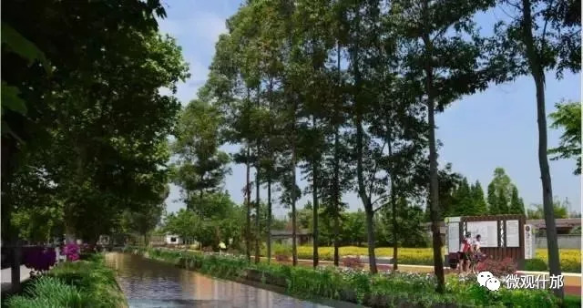 未来什邡发展,德阳市对什邡未来的发展