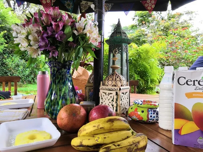 肯尼亚│我没有错过非洲，错过动物大迁徙