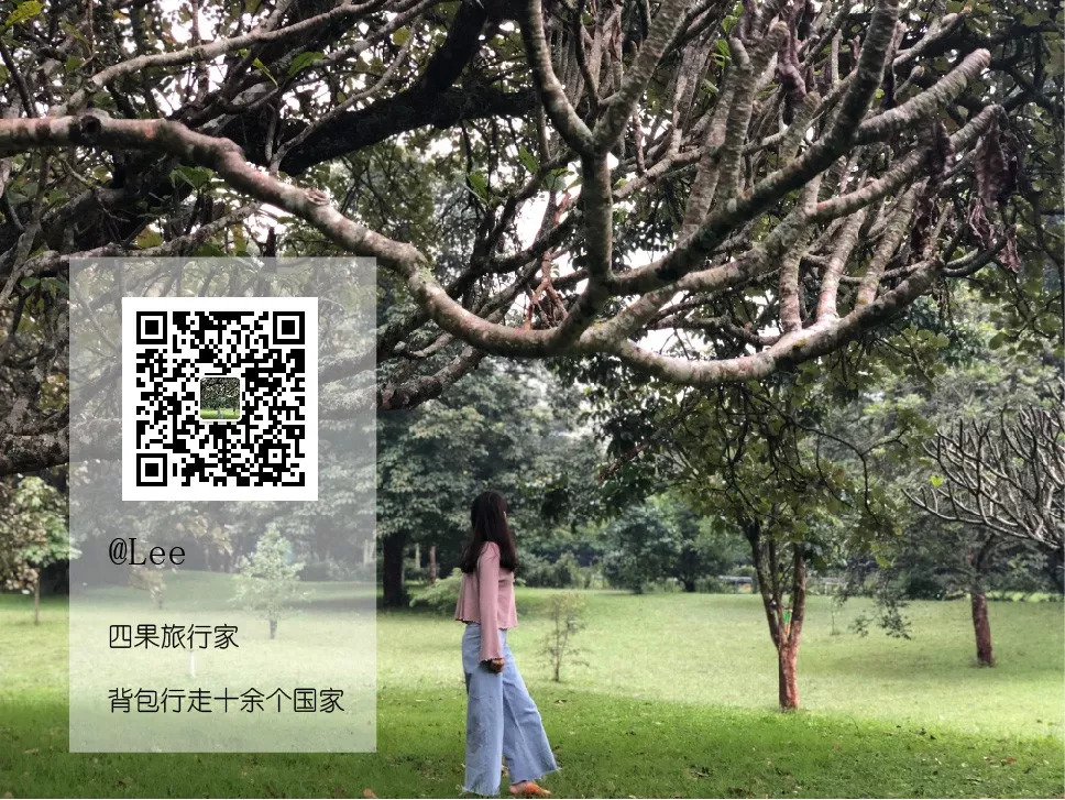 肯尼亚│我没有错过非洲，错过动物大迁徙