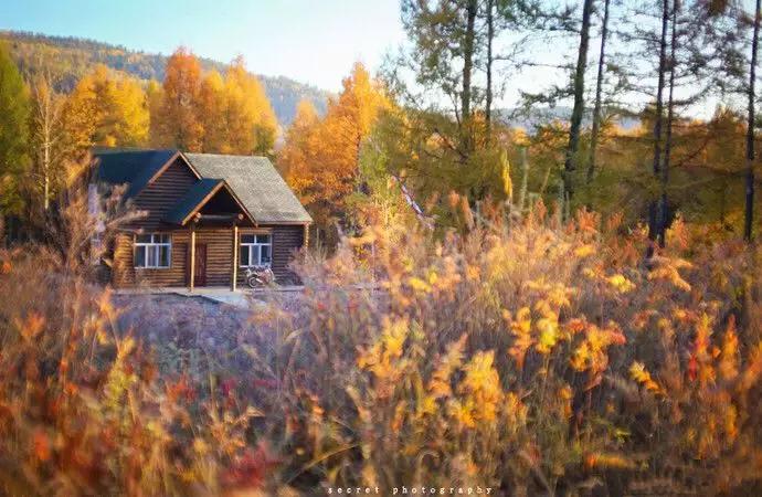 国内最美的十大海滨城市,国内最撩人的20个金秋童话