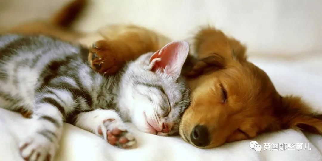 钢铁直男真正动心的表现,钢铁直男的爱情有多甜蜜