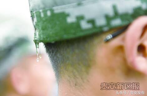 大学第一堂课视频全集,大学第一堂课教学