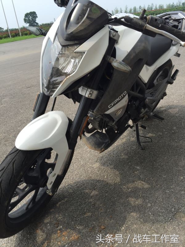 隐藏在绿化带里的罪恶,隐藏在黑暗深处的罪孽