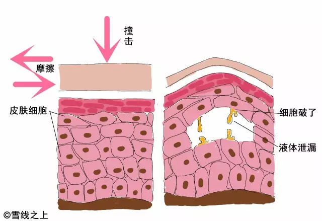 陶冶徒步最佳路线,陶冶户外徒步挑战赛