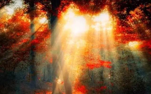 赏枫踏水才是东北秋季的正确打开方式